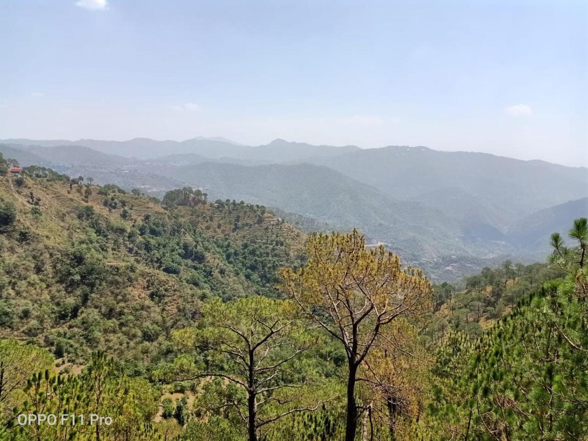 Pine Peak Villa Kasauli Exterior photo